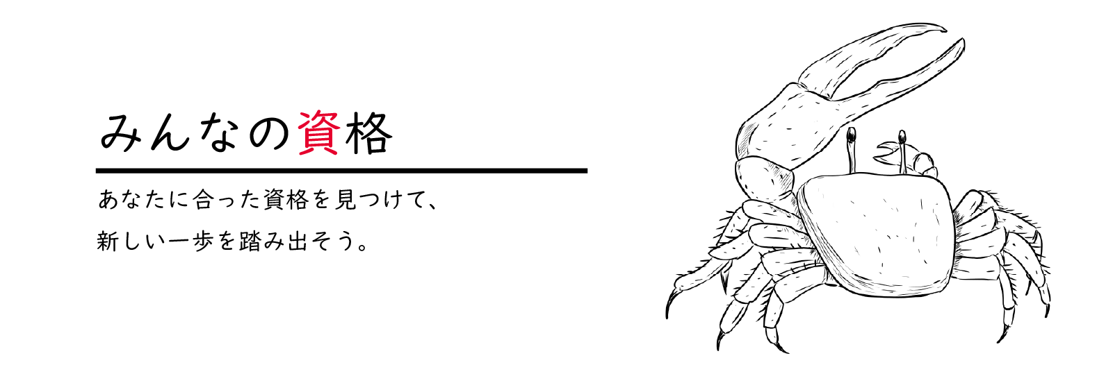 みんなの資格